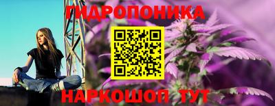 спиды Коммунар