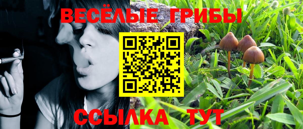 Галлюциногенные грибы Psilocybine cubensis  Вход с VPN  Краснодар 